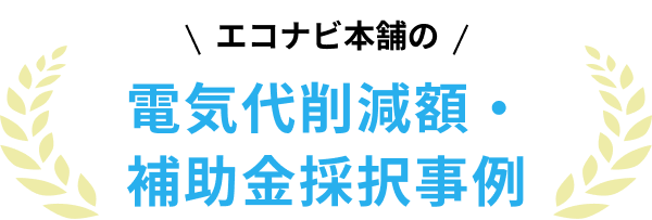 エコナビ本舗の補助金採択事例